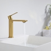 TVÄTTSTÄLLSBLANDARE BATHLIFE DAGG BORSTAD MÄSSING